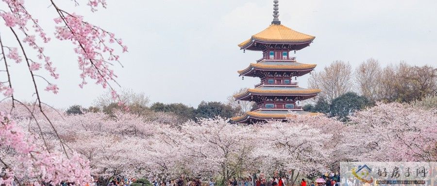 都江堰侏罗纪半山今日取证，打造高端低密洋房纯住宅社区！            </h1>(图2)